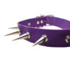 purple leather spike choker